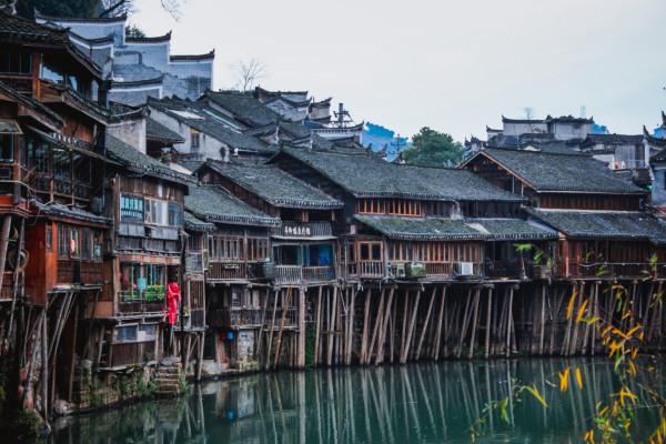 动物帮帮忙保卫家园